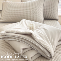 Set 4 Món Chiếu Băng Lạnh Icool Latex Kèm Chăn Thun Lạnh