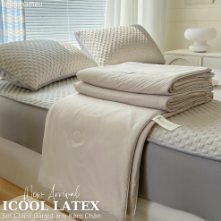 Set 4 Món Chiếu Băng Lạnh Icool Latex Kèm Chăn Thun Lạnh
