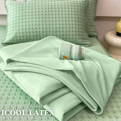 Set 4 Món Chiếu Băng Lạnh Icool Latex Kèm Chăn Thun Lạnh